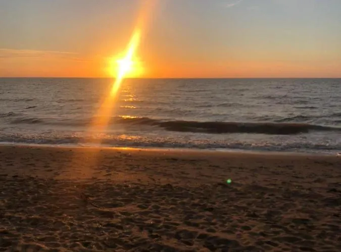 Les Pieds Dans L'eau *