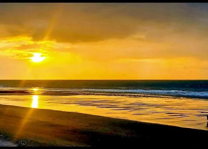 Les Pieds Dans L'eau Appartement Blonville-sur-Mer